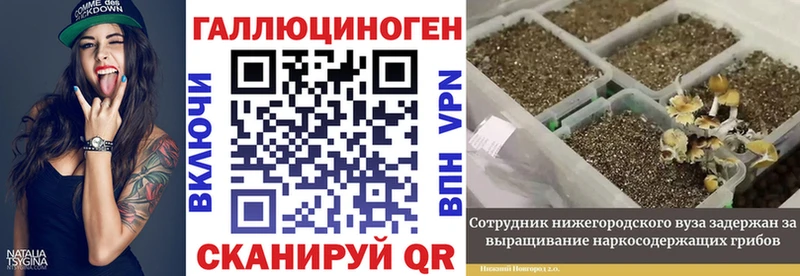 omg зеркало  Благовещенск  Псилоцибиновые грибы MAGIC MUSHROOMS 