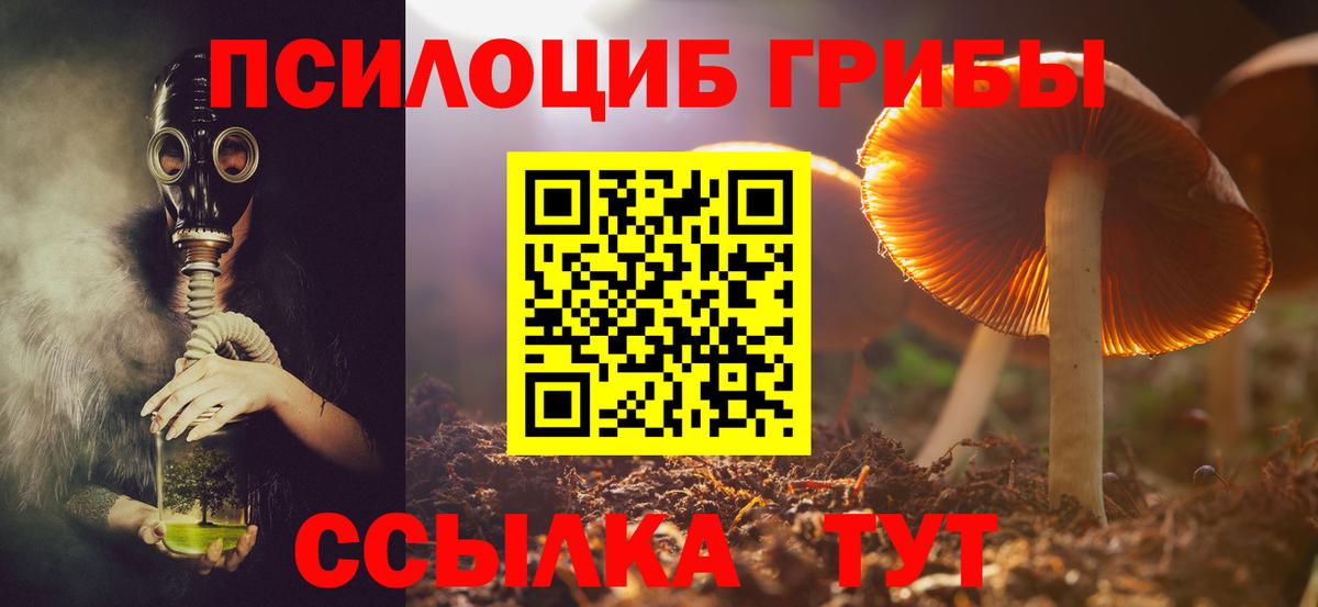 Псилоцибиновые грибы ЛСД  Вход с VPN  Псилоцибиновые грибы Magic Shrooms  Благовещенск 