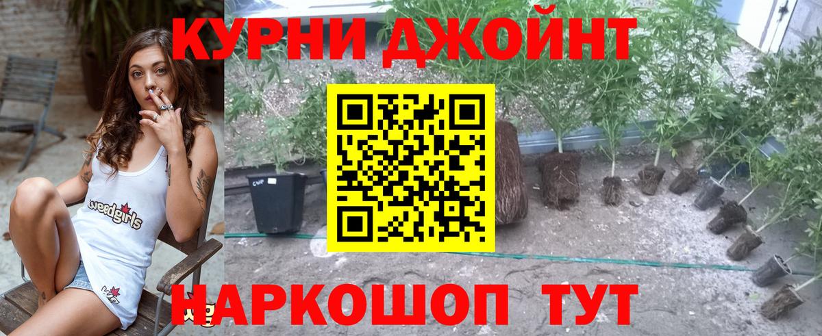 Бошки Шишки SATIVA & INDICA Благовещенск